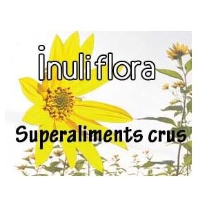 Inuli flora